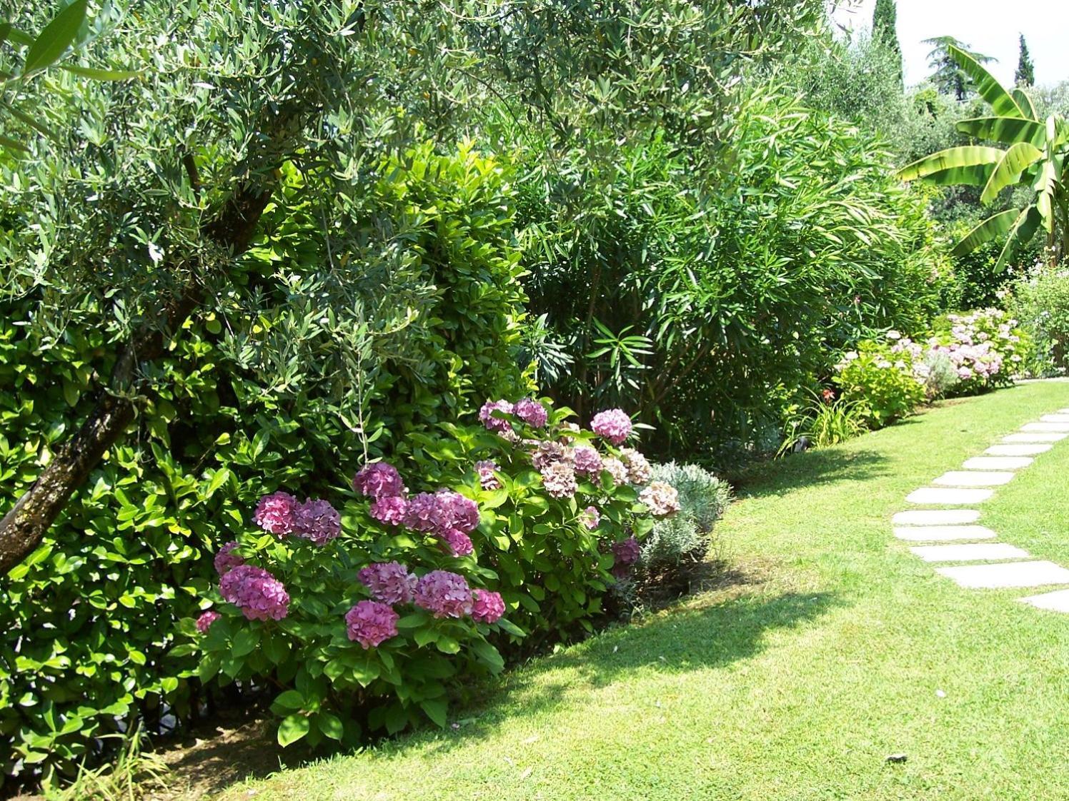 Villa Giada Torri Del Benaco Exteriör bild